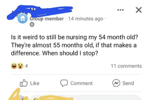 20-screenshots-of-the-most-absurd-things-moms-have-actually-posted-in-online-mom-groups