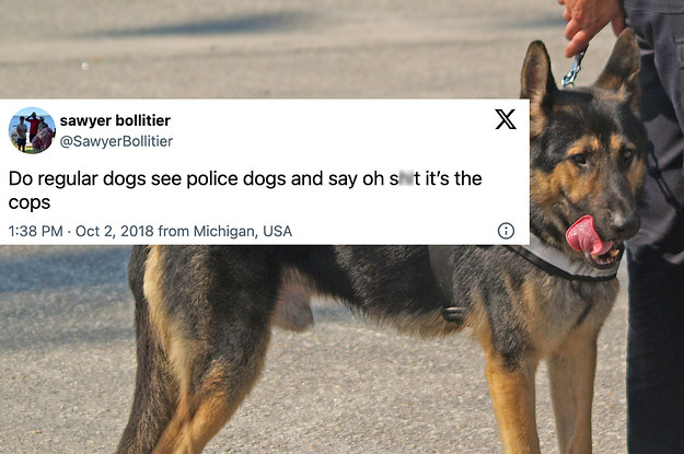 16-tweets-that-expose-dogs-for-what-they-really-are:-lovable-clowns