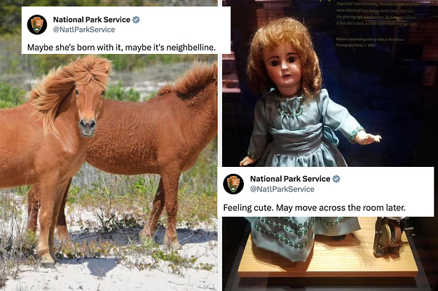 the-national-park-service's-account-on-x-is-one-of-the-funniest-thing-on-that-godforsaken-website