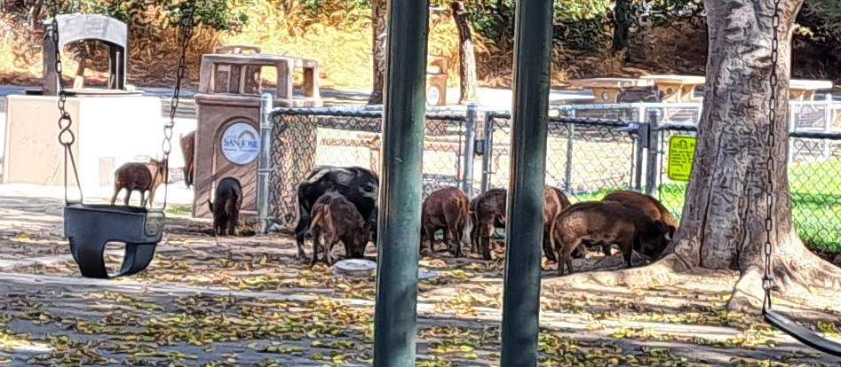 late-fall-group-ride