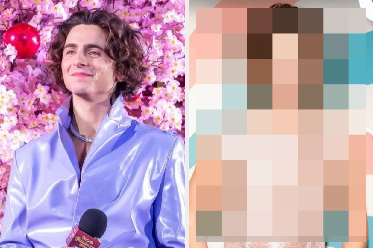 timothee-chalamet-is-basically-shirtless-again,-and-now,-i-have-several-questions