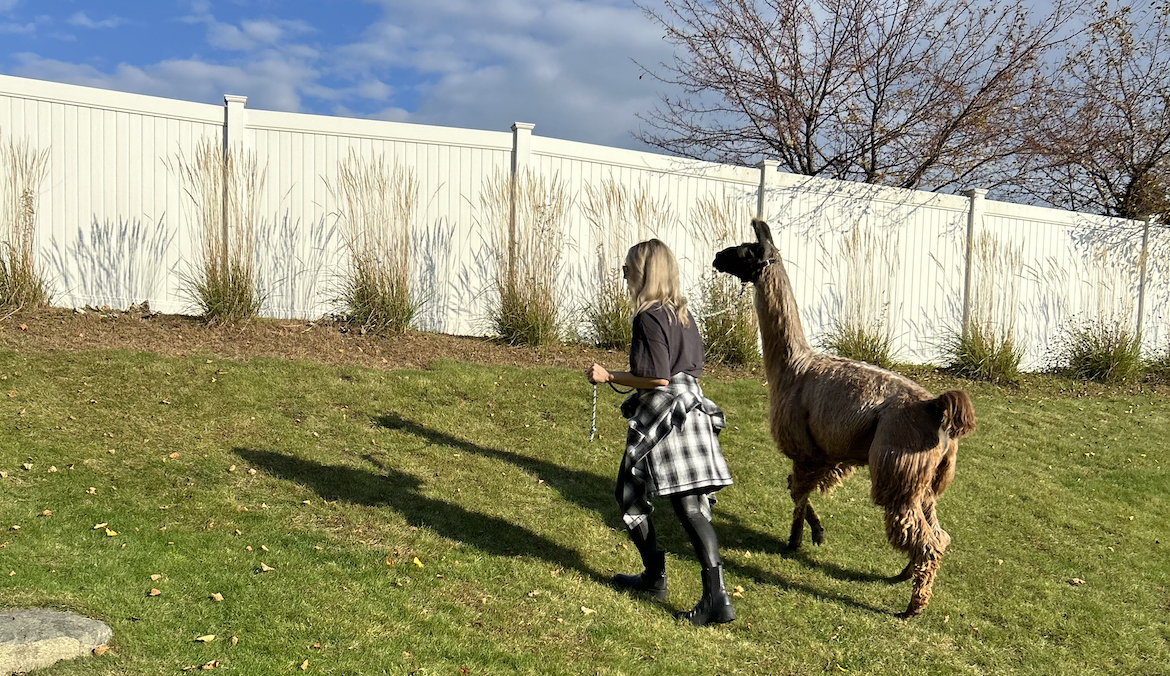 going-on-a-llama-walk-was-the-stress-buster-i-didn’t-know-i-needed