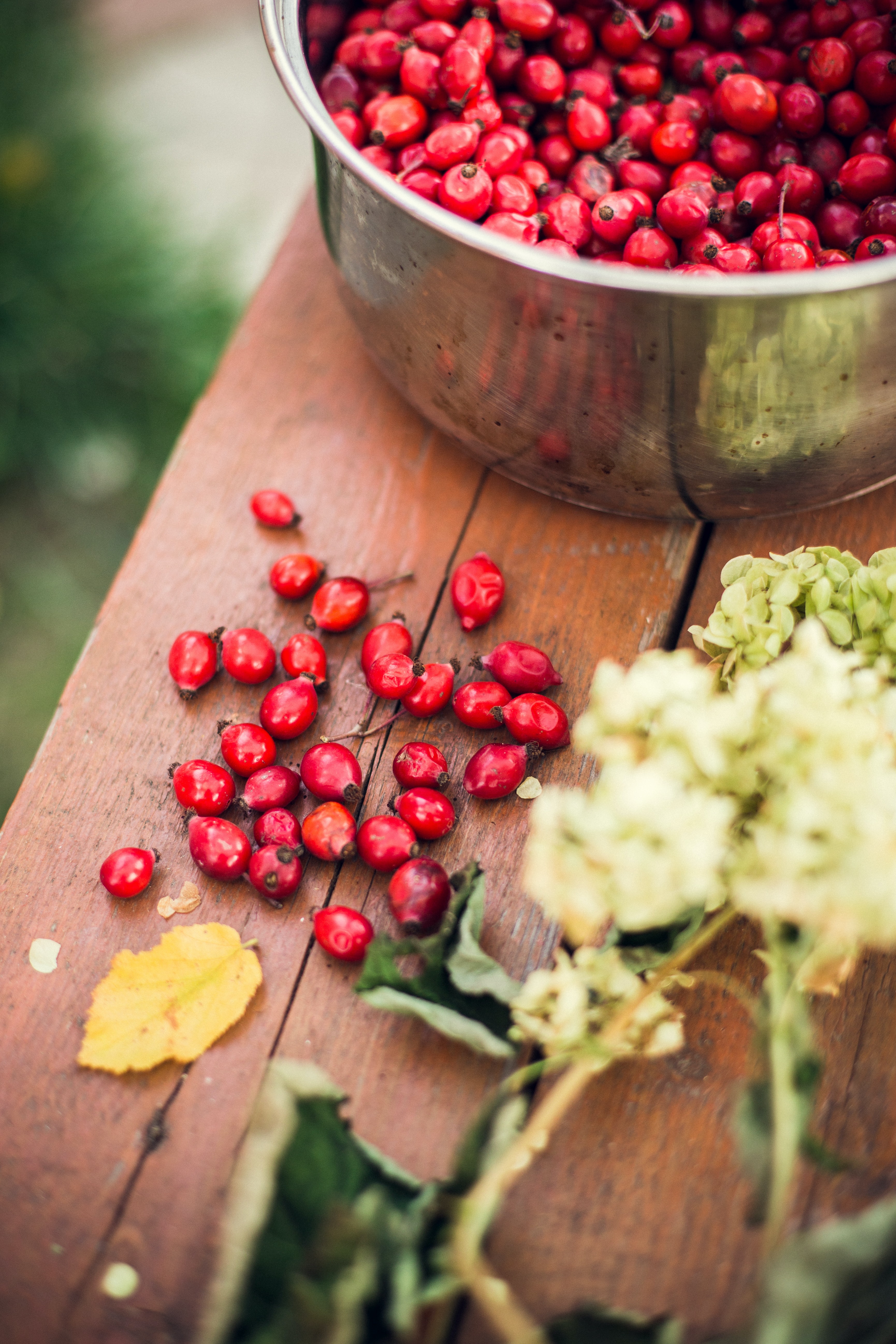 sugar-free-cranberry-sauce