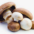 mushrooms-–-key-for-improved-health,-longer-life,-and-increased-exercise-capacity!