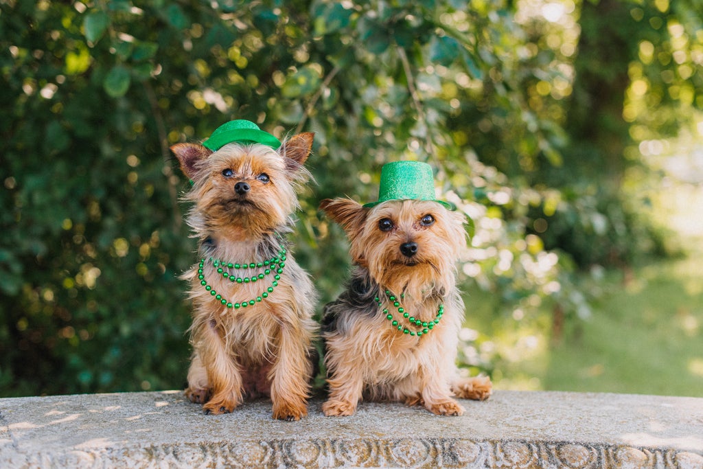 if-you-love-saint-patrick's-day,-you'll-love-these-st.-patty's-day-trivia-questions