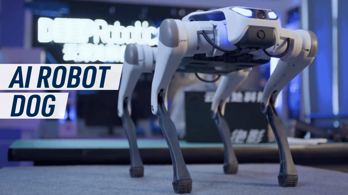 this-robot-dog-is-capable-of-picking-itself-up-whenever-it-falls