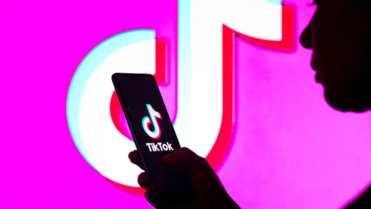 which-countries-have-banned-tiktok?