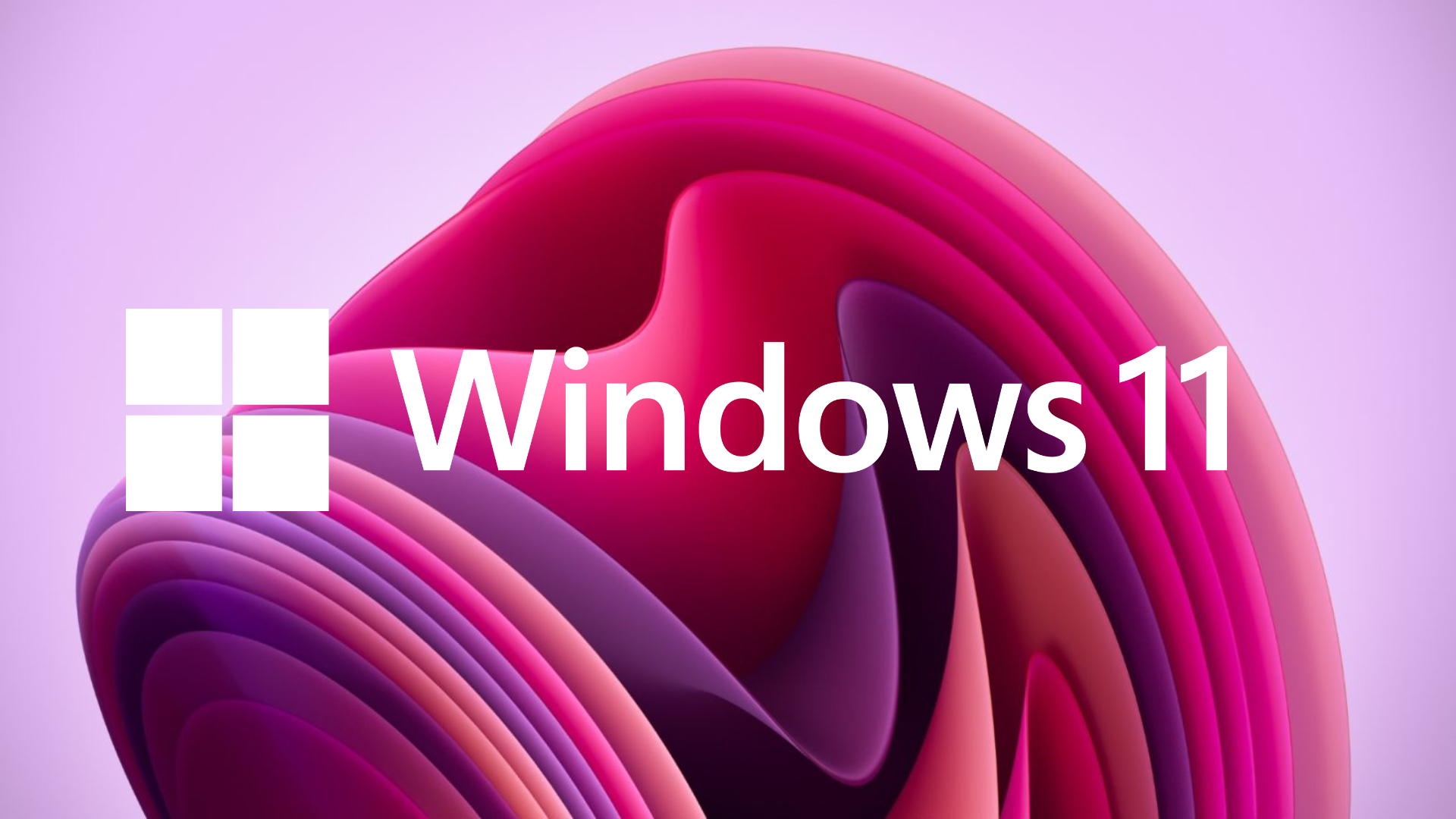 windows-11-has-never-been-so-popular-–-but-is-a-fresh-surge-of-installations-coming-from-a-place-of-love-or-mere-tolerance?