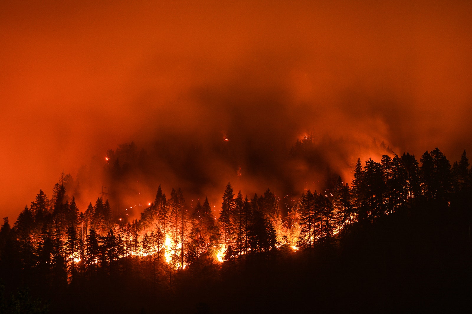 extreme-wildfires-have-doubled-in-frequency-and-intensity-in-the-past-20-years