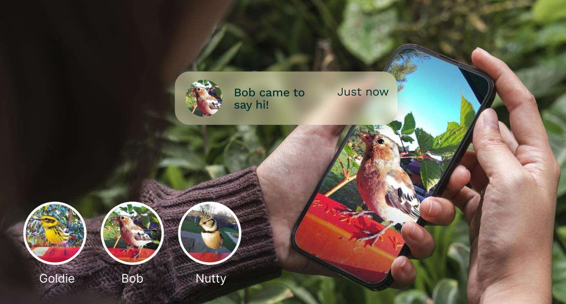 bird-buddy’s-new-ai-feature-lets-people-name-and-identify-individual-birds-|-techcrunch