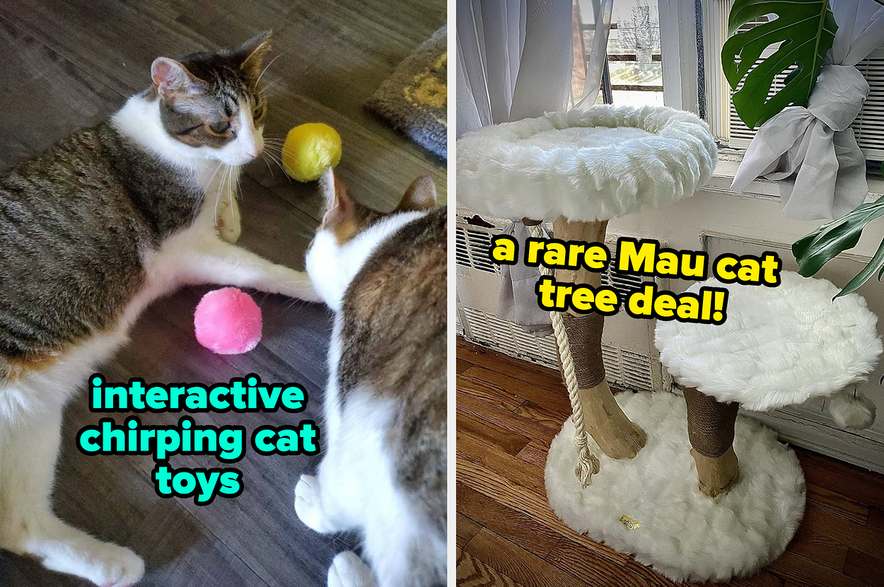 as-someone-with-multiple-cats,-here-are-the-prime-day-pet-deals-i-think-are-worth-it