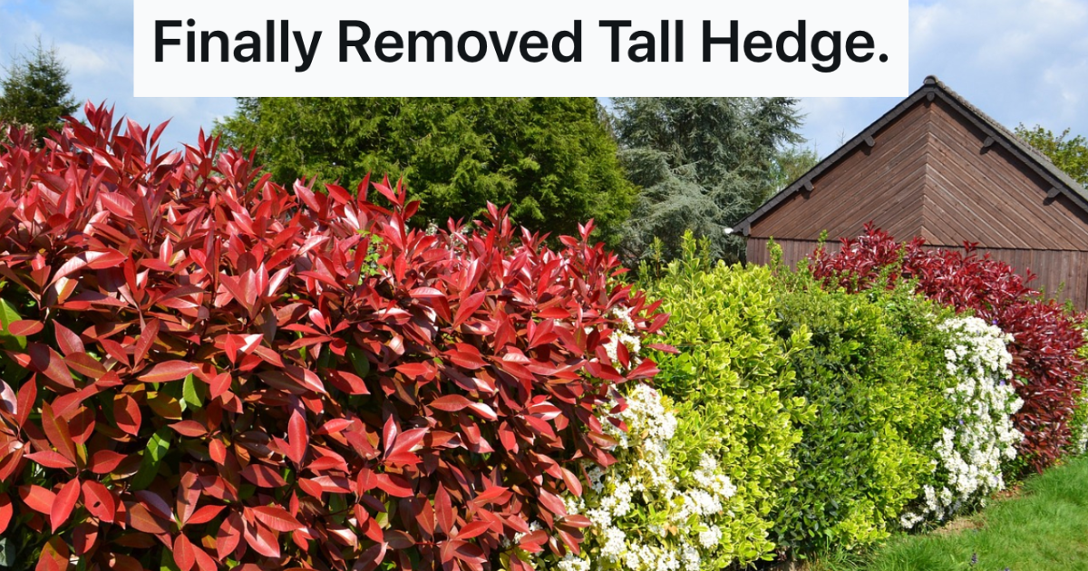 his-neighbors-kept-complaining-about-the-hedge-that-separated-their-houses,-so-he-replaced-it-with-something-worse