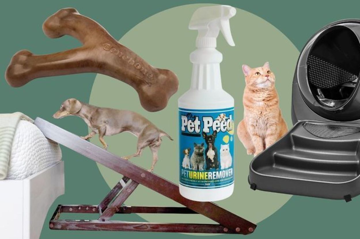 pet-owners-reveal-the-most-problem-solving-thing-they've-ever-purchased