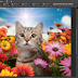 adobe-updates-its-illustrator-and-photoshop-creative-cloud-apps-with-new-features