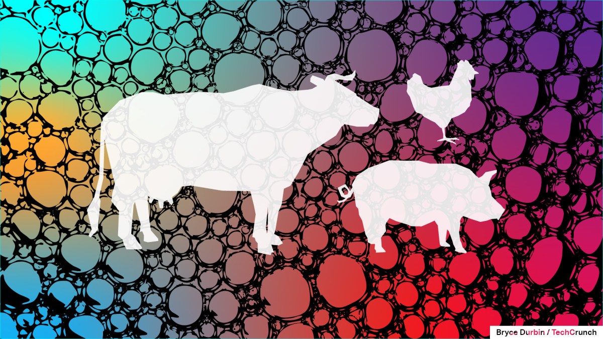 even-after-$1.6b-in-vc-money,-the-lab-grown-meat-industry-is-facing-‘massive’-issues-|-techcrunch