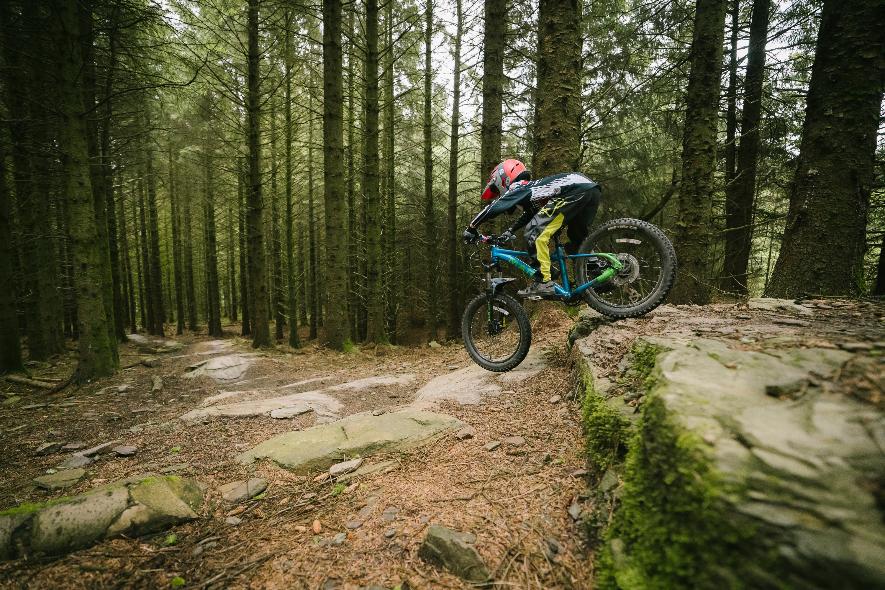 mountain-bikers-are-rewilding-land-by-paying-the-government-to-do-it