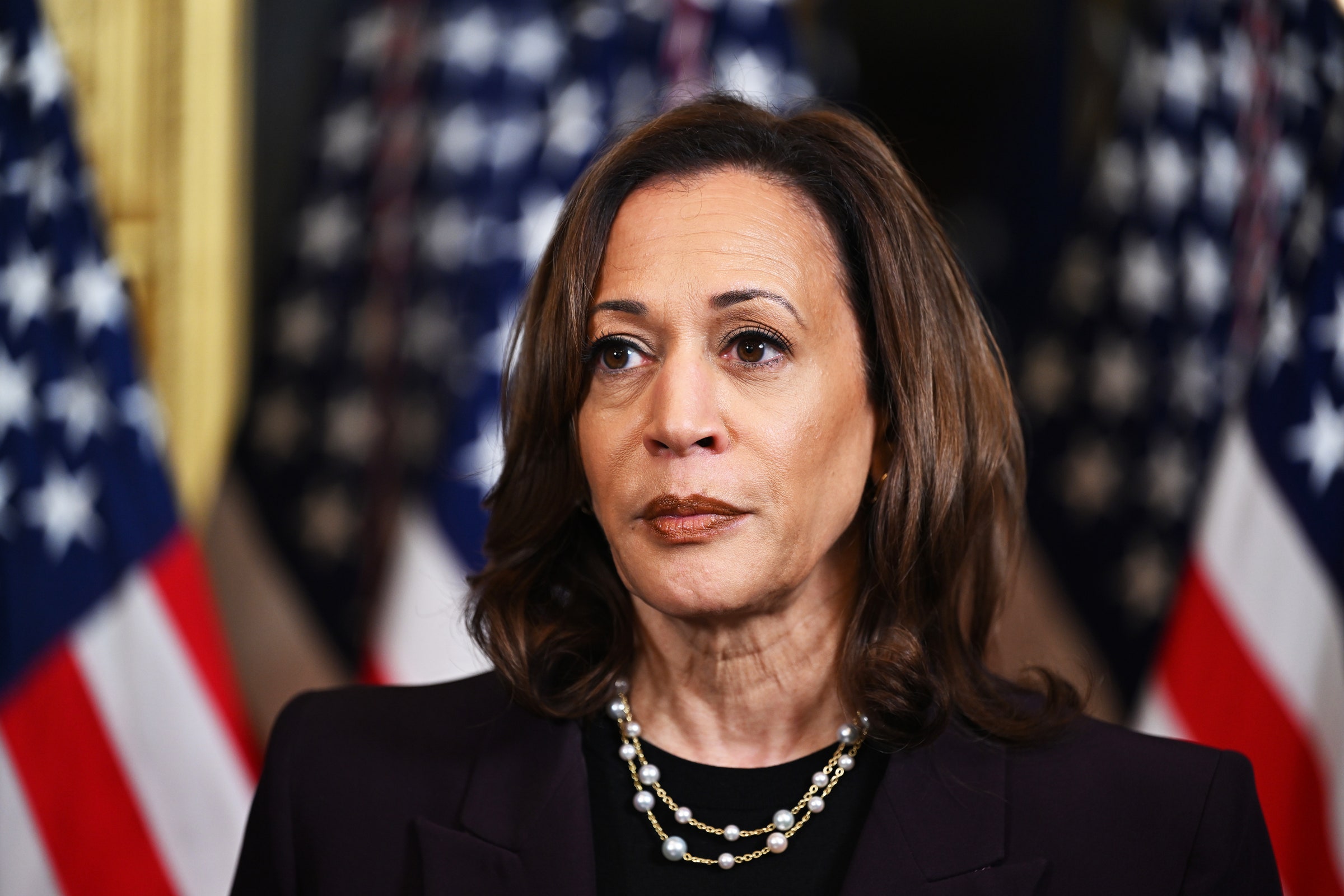 kamala-harris-and-the-paradox-of-progress