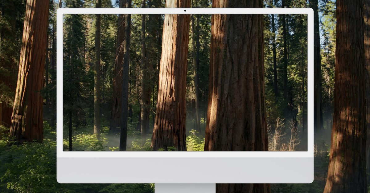 download-the-new-macos-sequoia-beta-5-wallpaper