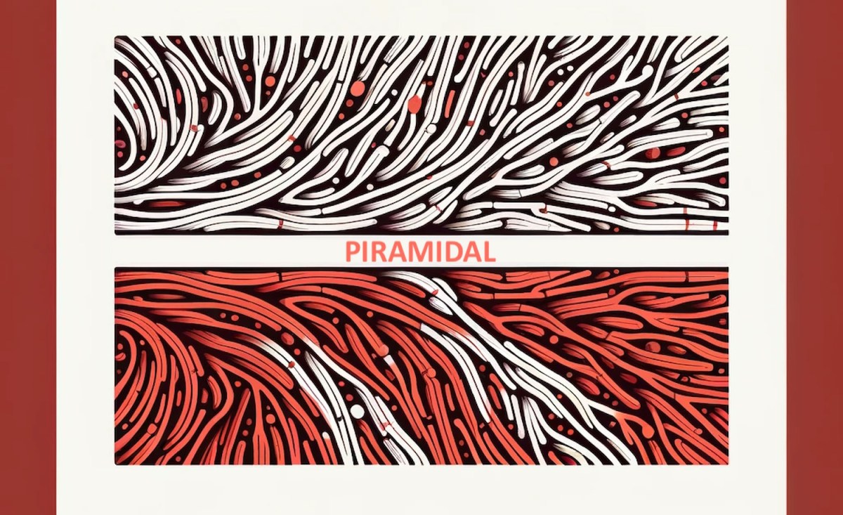 piramidal's-foundation-model-for-brainwaves-could-supercharge-eegs-|-techcrunch