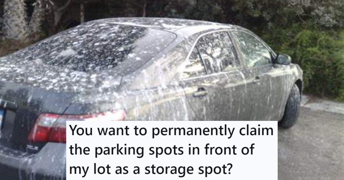 his-neighbors-would-constantly-park-their-vehicles-in-places-that-made-it-difficult-for-him-to-get-out-of-his-driveway,-so-he-setup-bird-feeders-in-the-area-to-get-their-cars-covered-in-bird-droppings