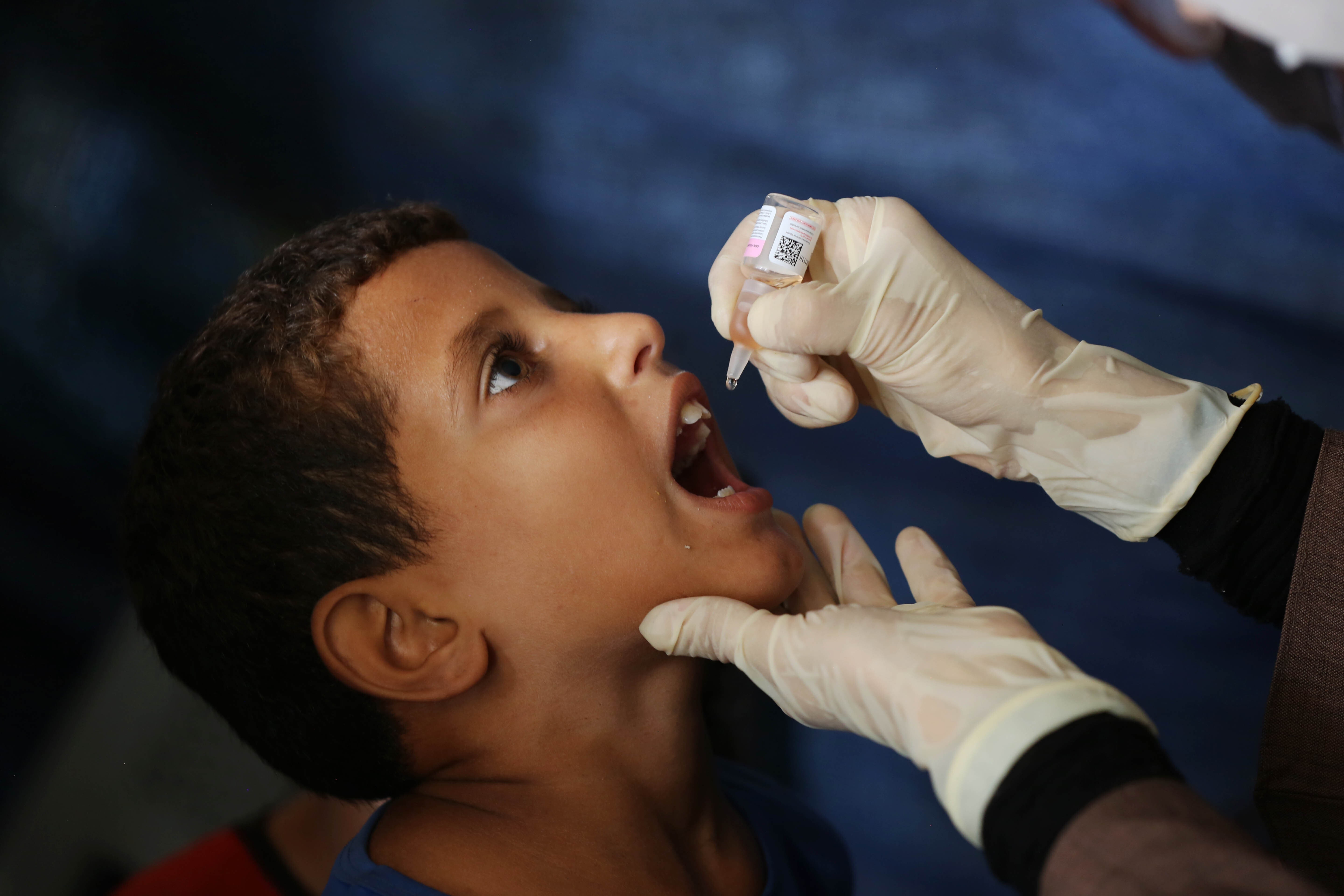 why-polio-has-reemerged-in-gaza