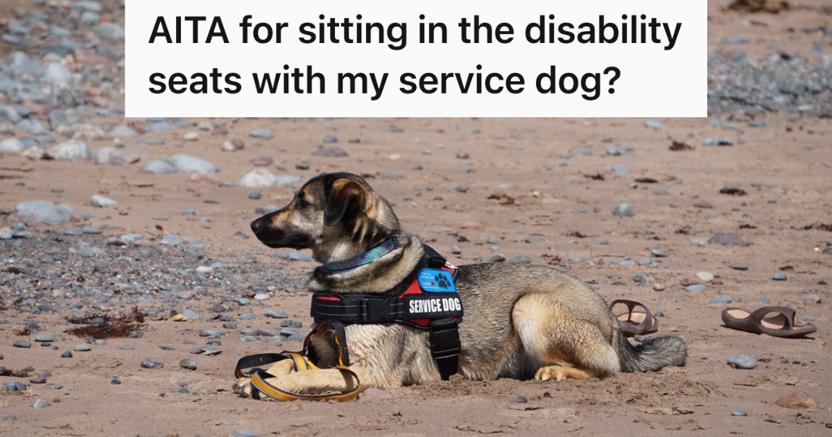 he-sat-in-disabled-seating-on-the-bus-with-his-service-dog,-but-was-still-accused-of-faking-a-disability