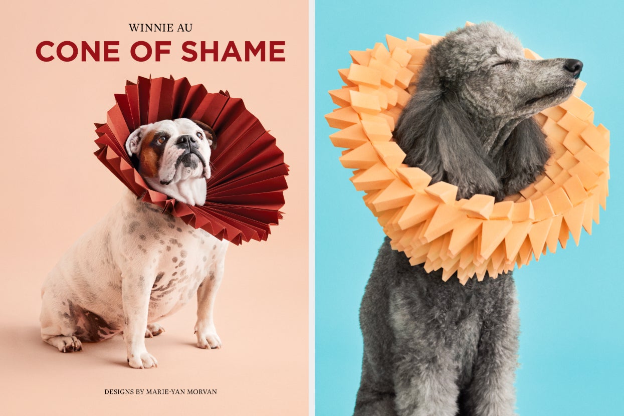 this-dog-mom's-unique-“cone-of-shame”-photo-series-is-incredibly-magical