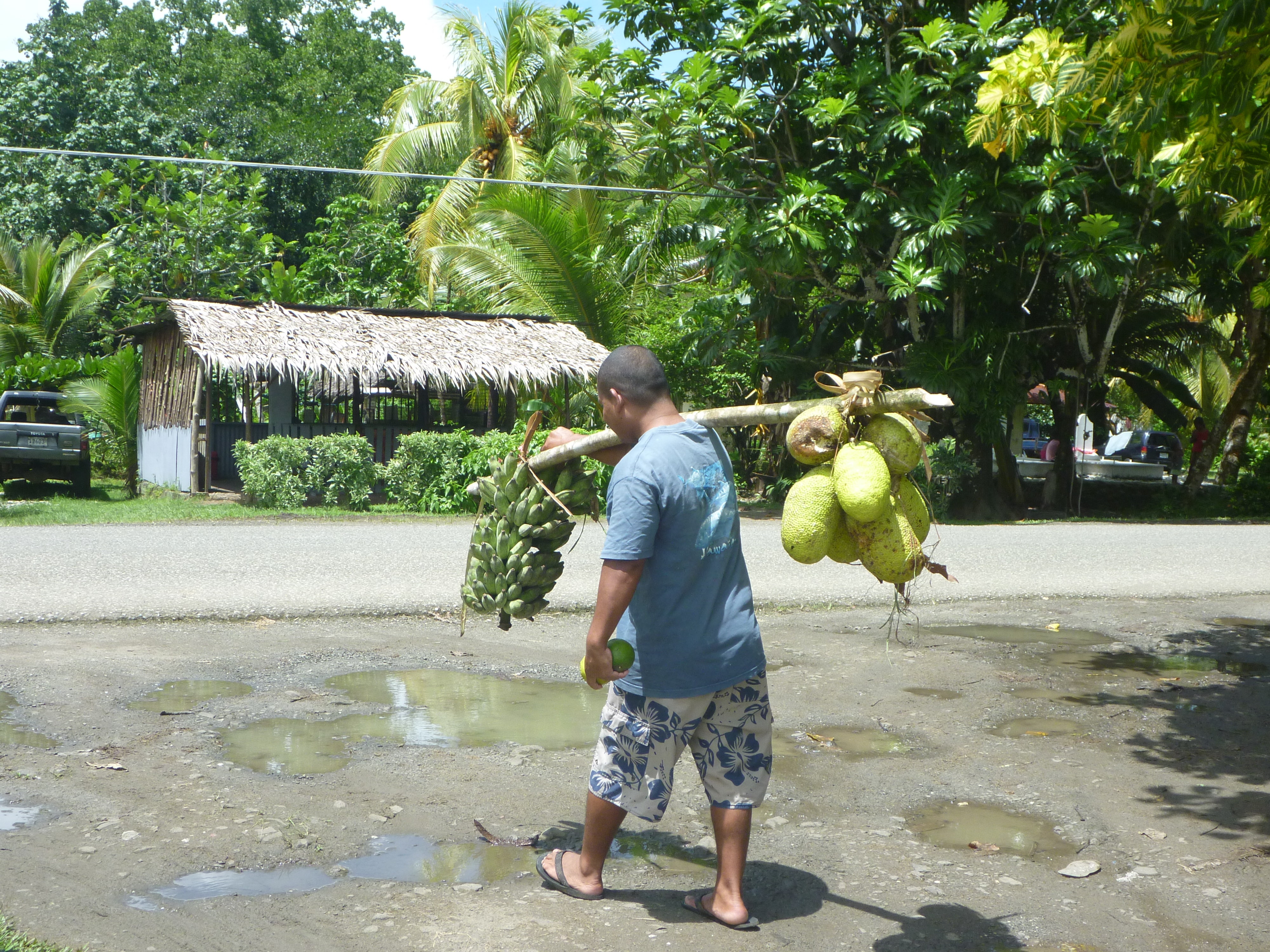 breadfruit-is-here-to-save-the-world